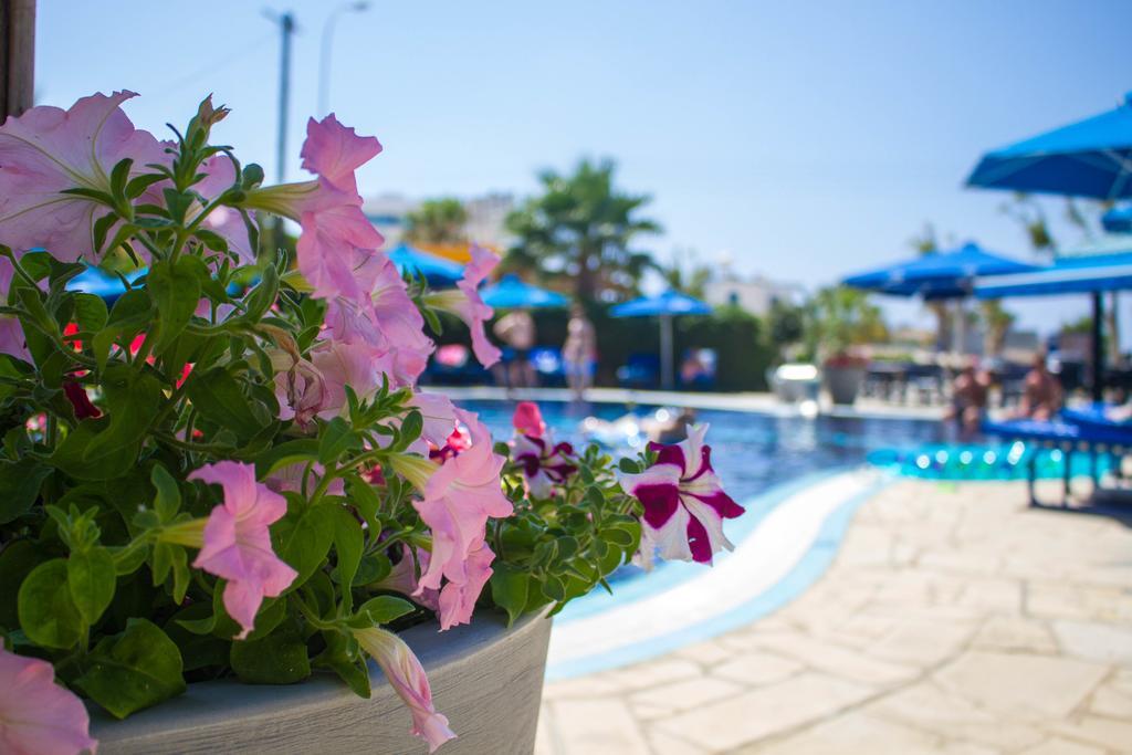 Otel Anonymous (adults Only)